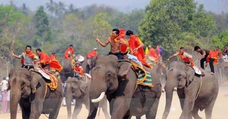 Hình ảnh Lễ hội đua voi ở Tây Nguyên, Việt Nam, thể hiện vai trò văn hóa của voi tại địa phương